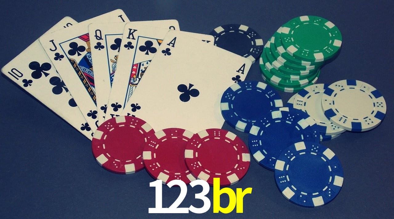 Experiência VIP 123br